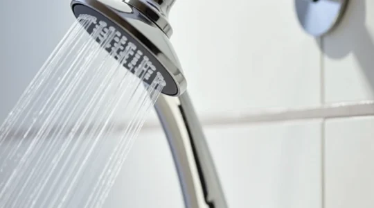 flexible-de-douche-qui-doit-le-remplacer